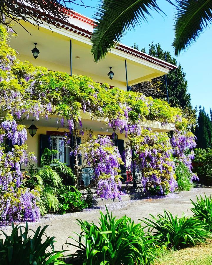 Quinta Do Cabouco Hotel Ribeira Brava Ngoại thất bức ảnh