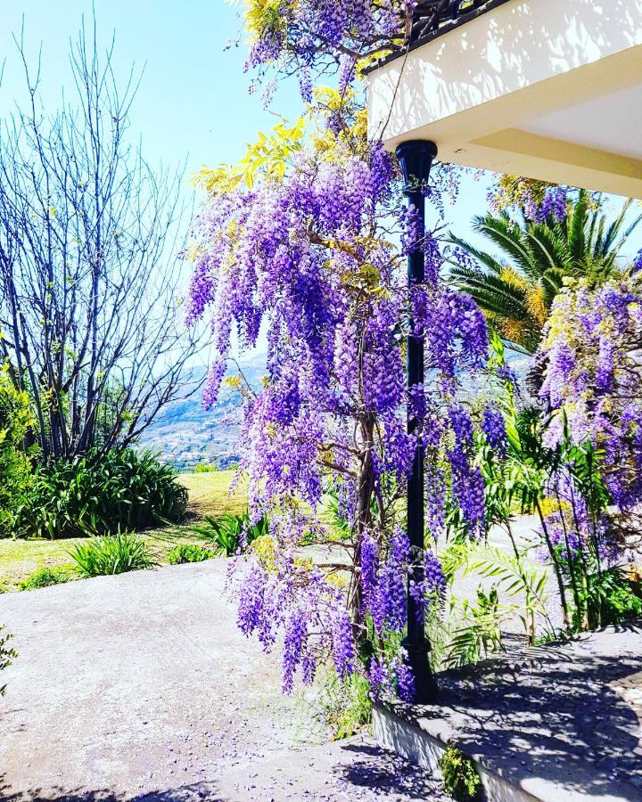 Quinta Do Cabouco Hotel Ribeira Brava Ngoại thất bức ảnh
