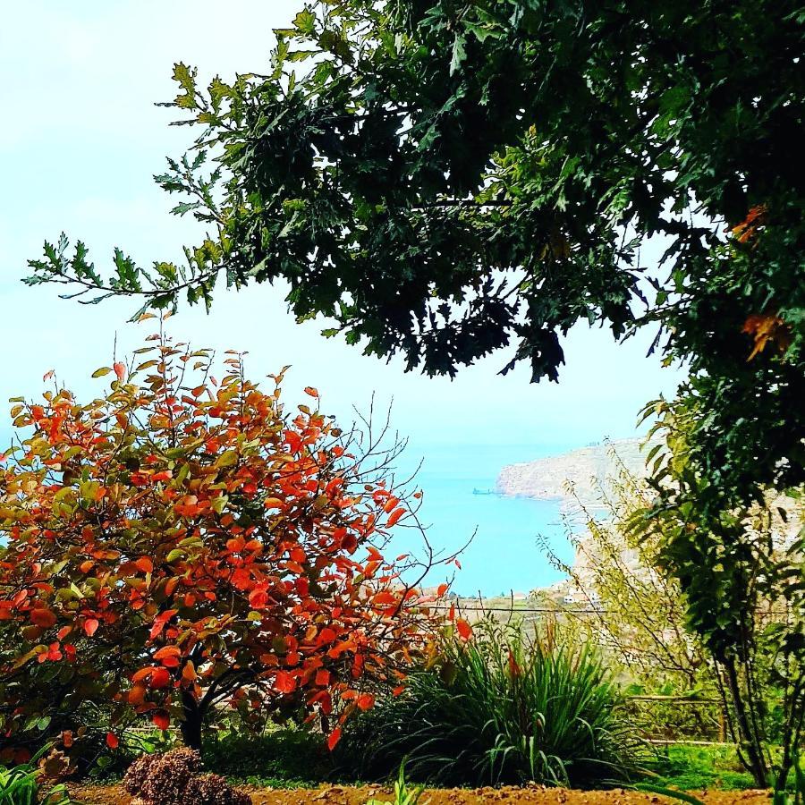 Quinta Do Cabouco Hotel Ribeira Brava Ngoại thất bức ảnh